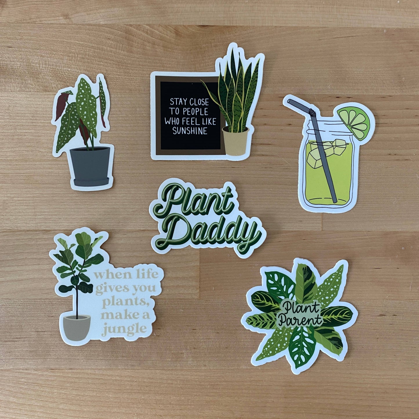 Plant Daddy Script CLEAR Sticker