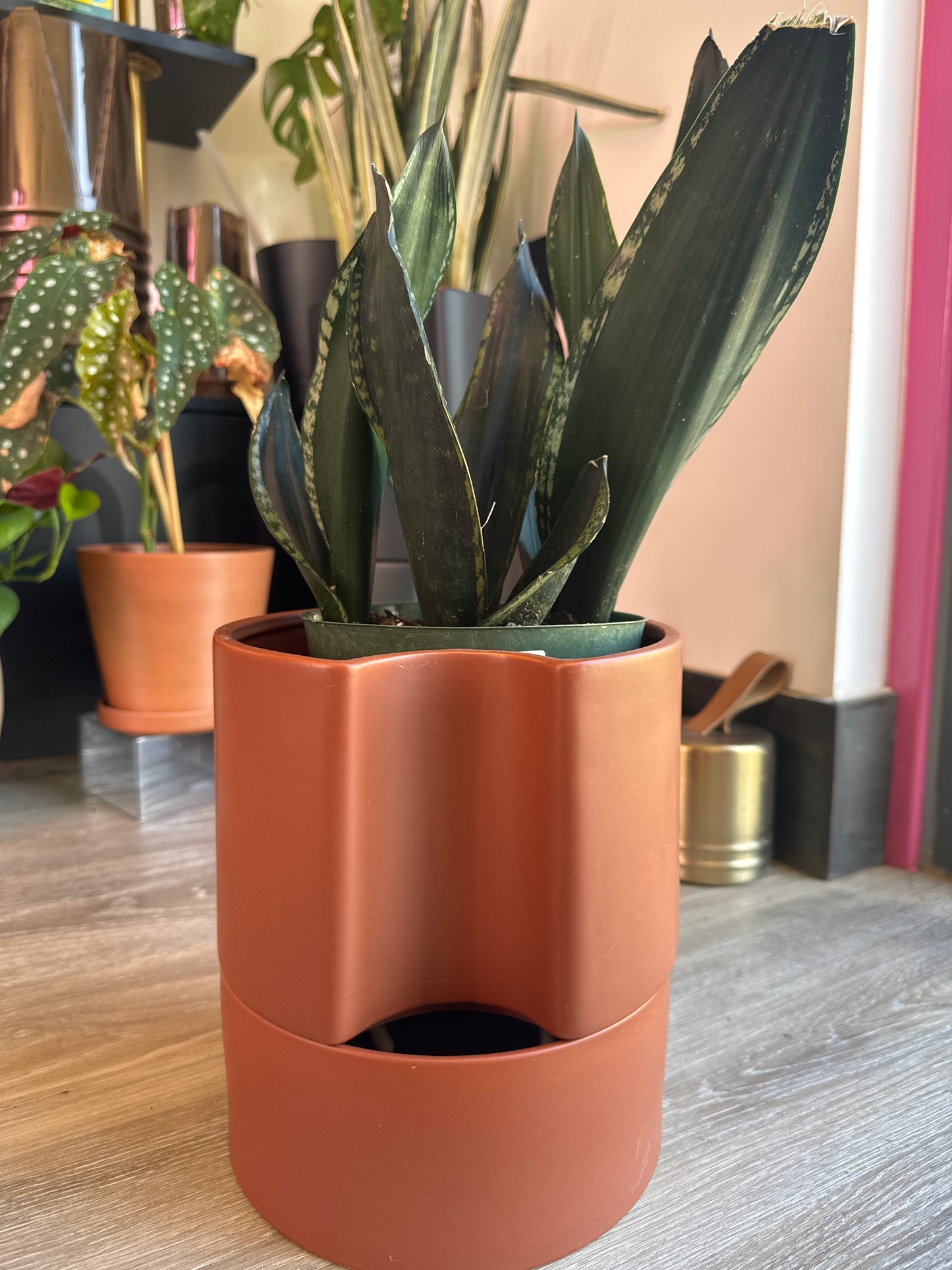 Terracotta Self Watering Planter