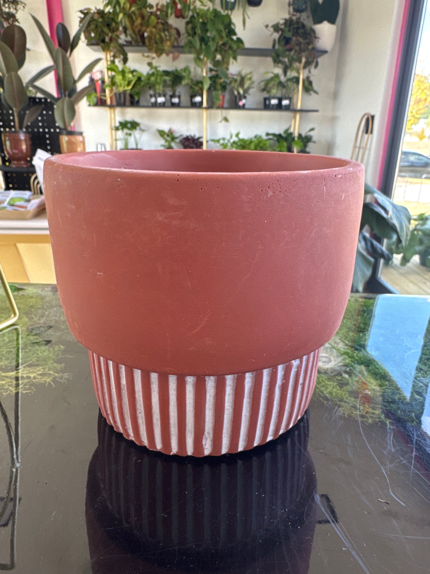 Terracotta planter