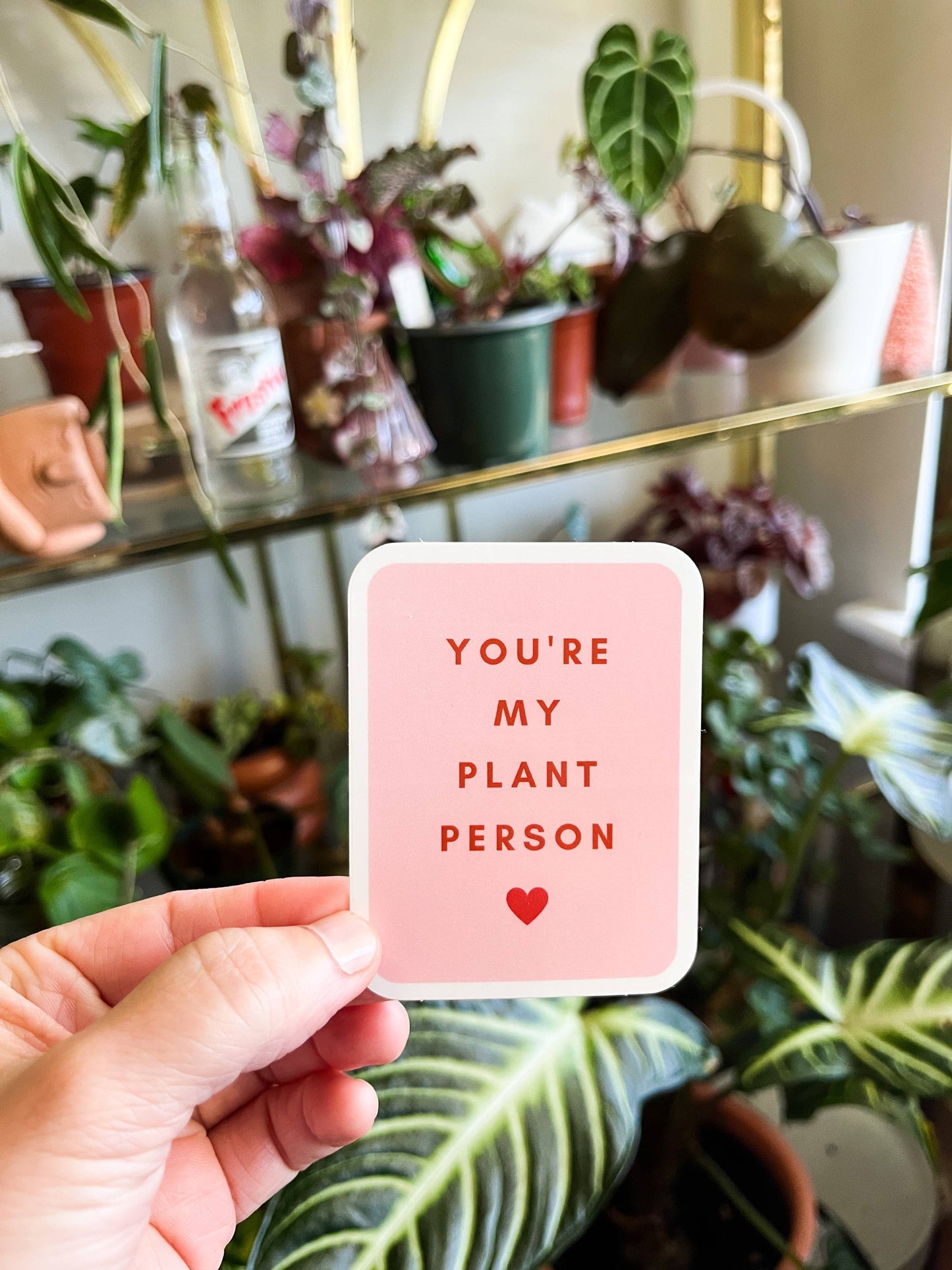 You're My Plant Person (Pink) Sticker