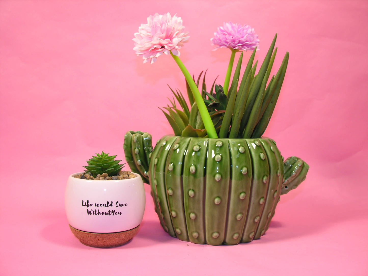 Cactus Flower Pot
