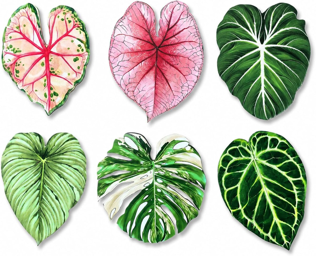 Drink Coaster