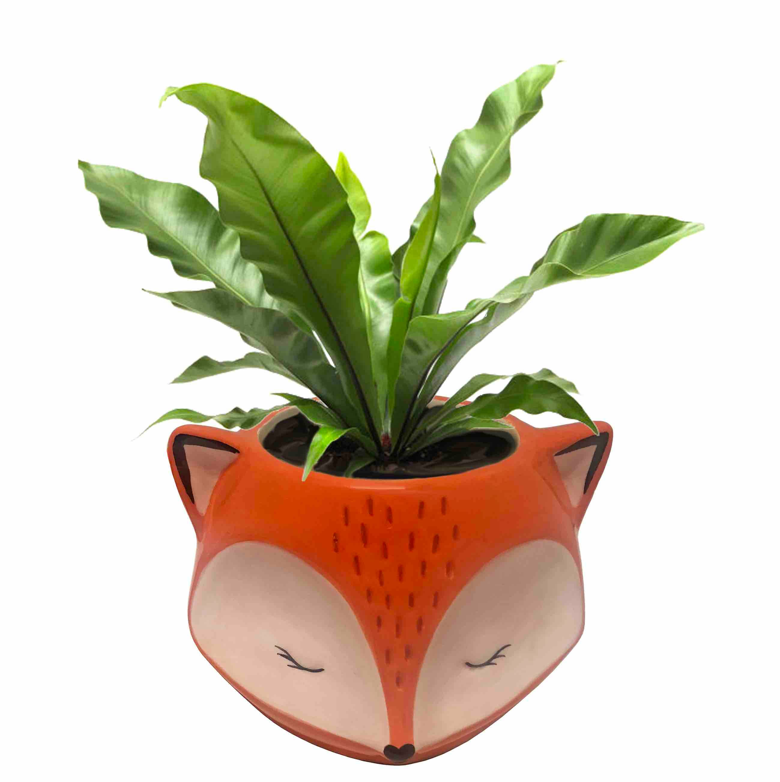fox plant pot Ceramic Statue Planter Streamline Imagined