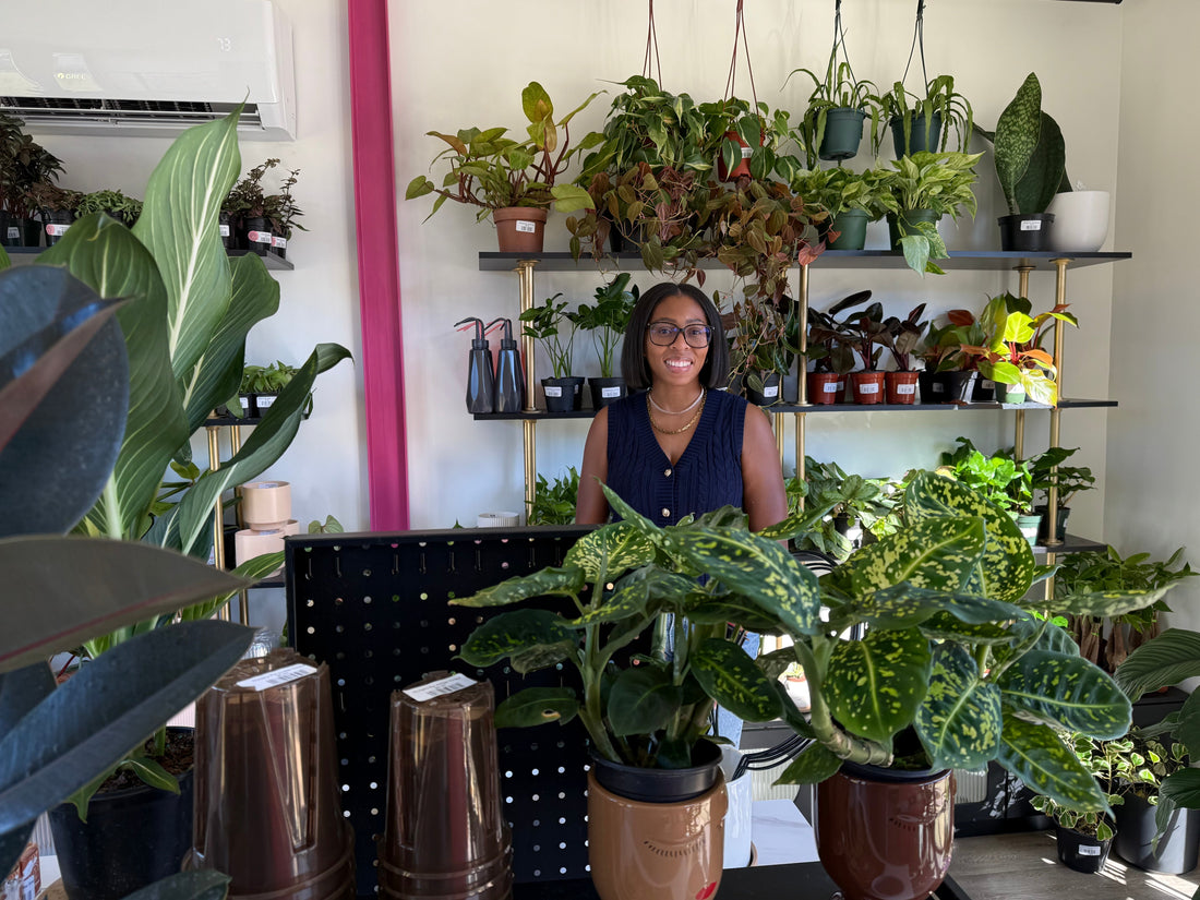 ✨ Welcome to Rooted With Lakeisha: Where Soft Life Meets Plant Life 🌿