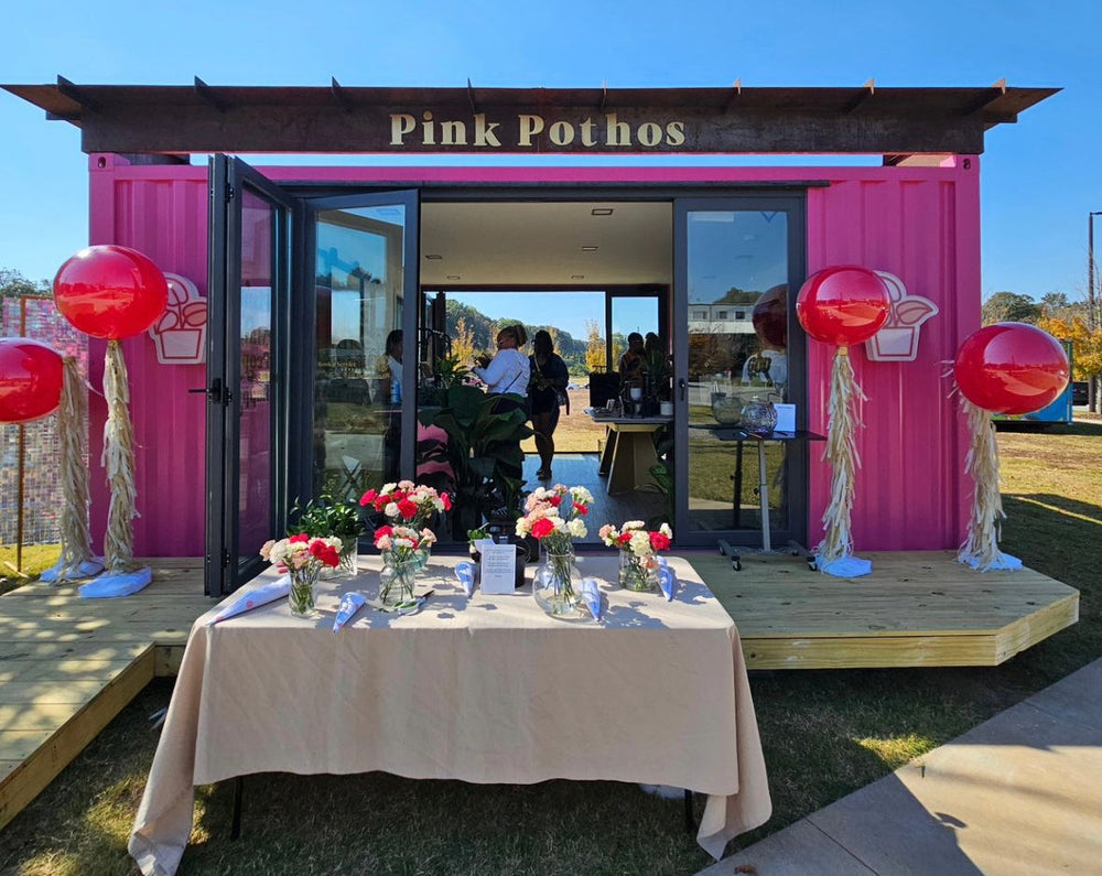 From the Beltline to the Container Courtyard: A 9-Month Repotting Story