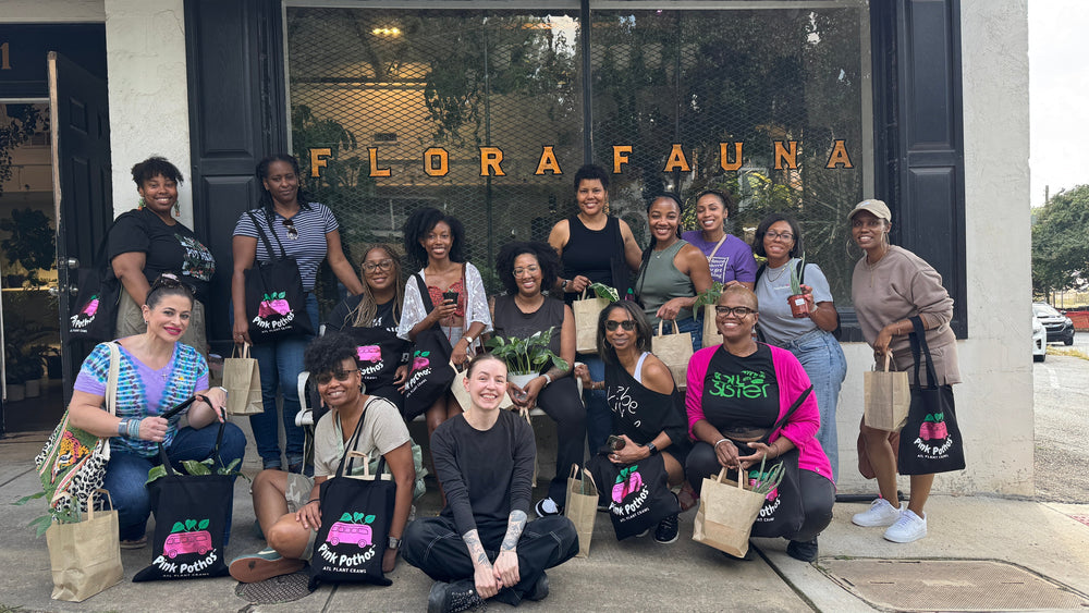 September Recap: Our First Pink Pothos Plant Crawl