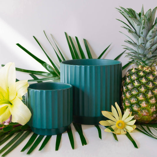 Monroe Planter | Rainforest