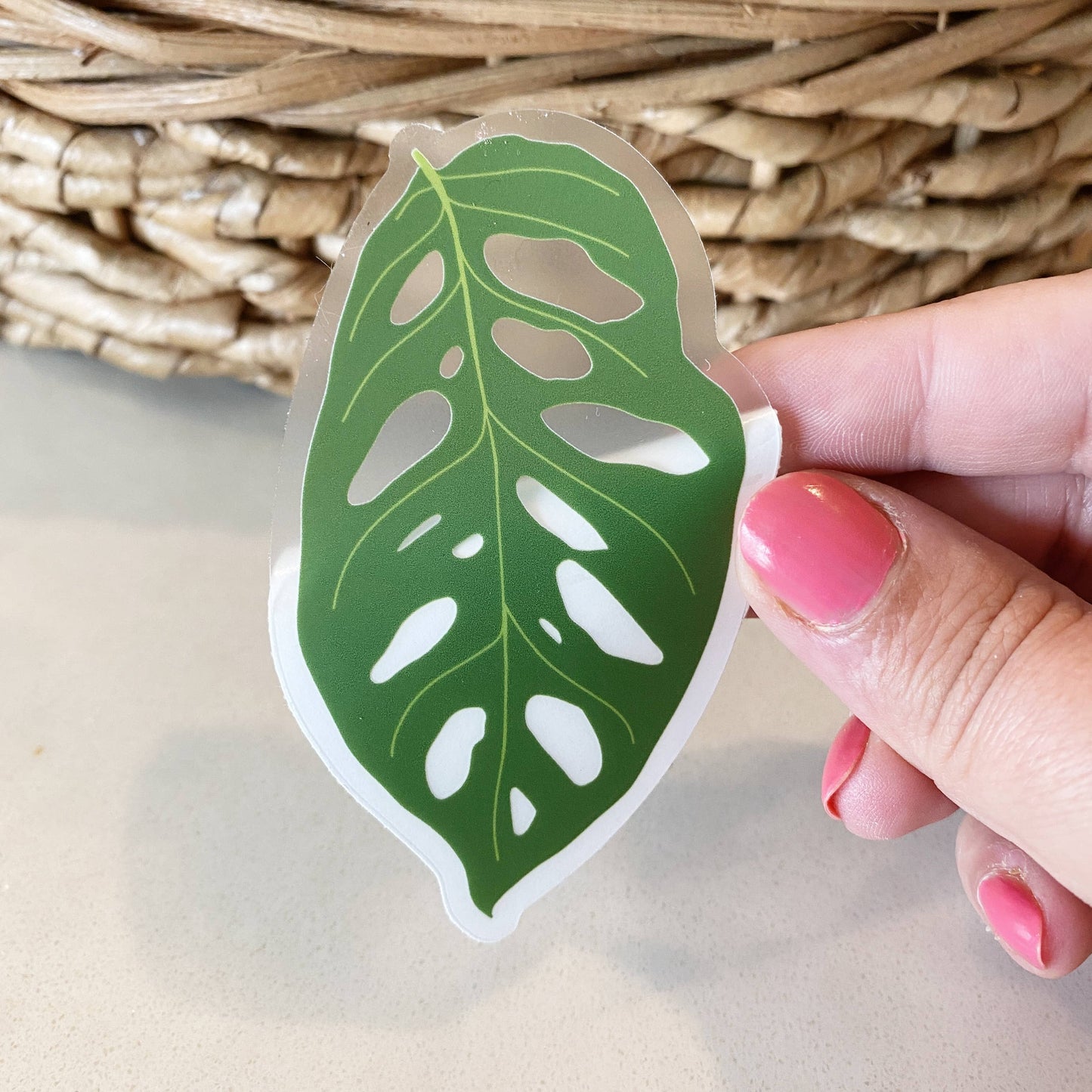 Monstera Adansonii Leaf CLEAR Sticker