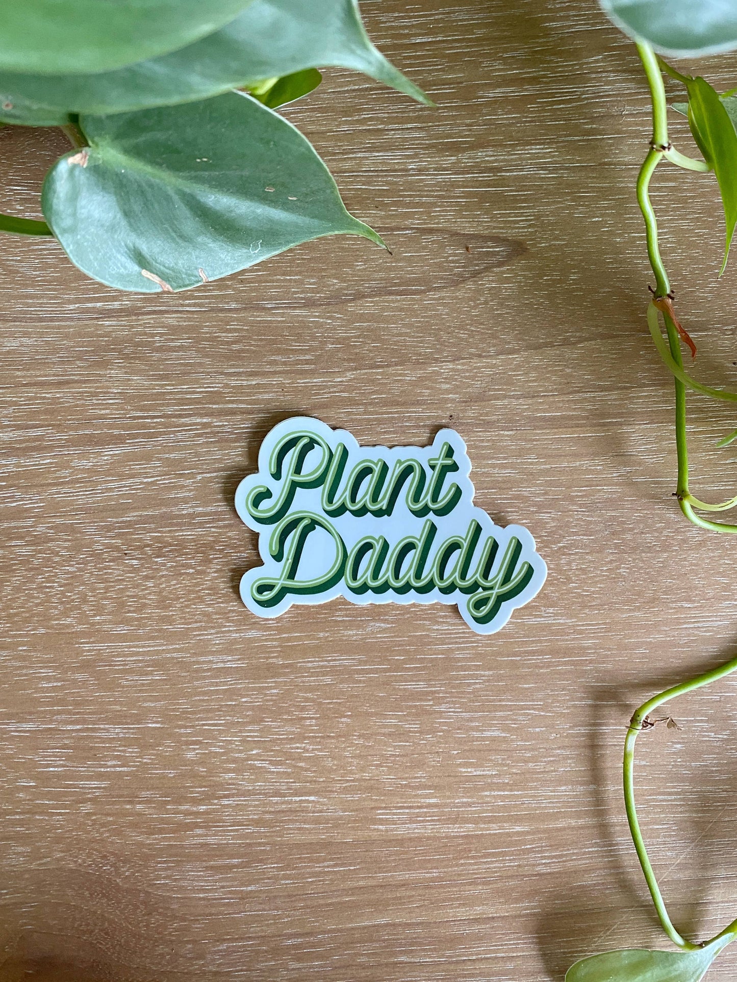Plant Daddy Script CLEAR Sticker