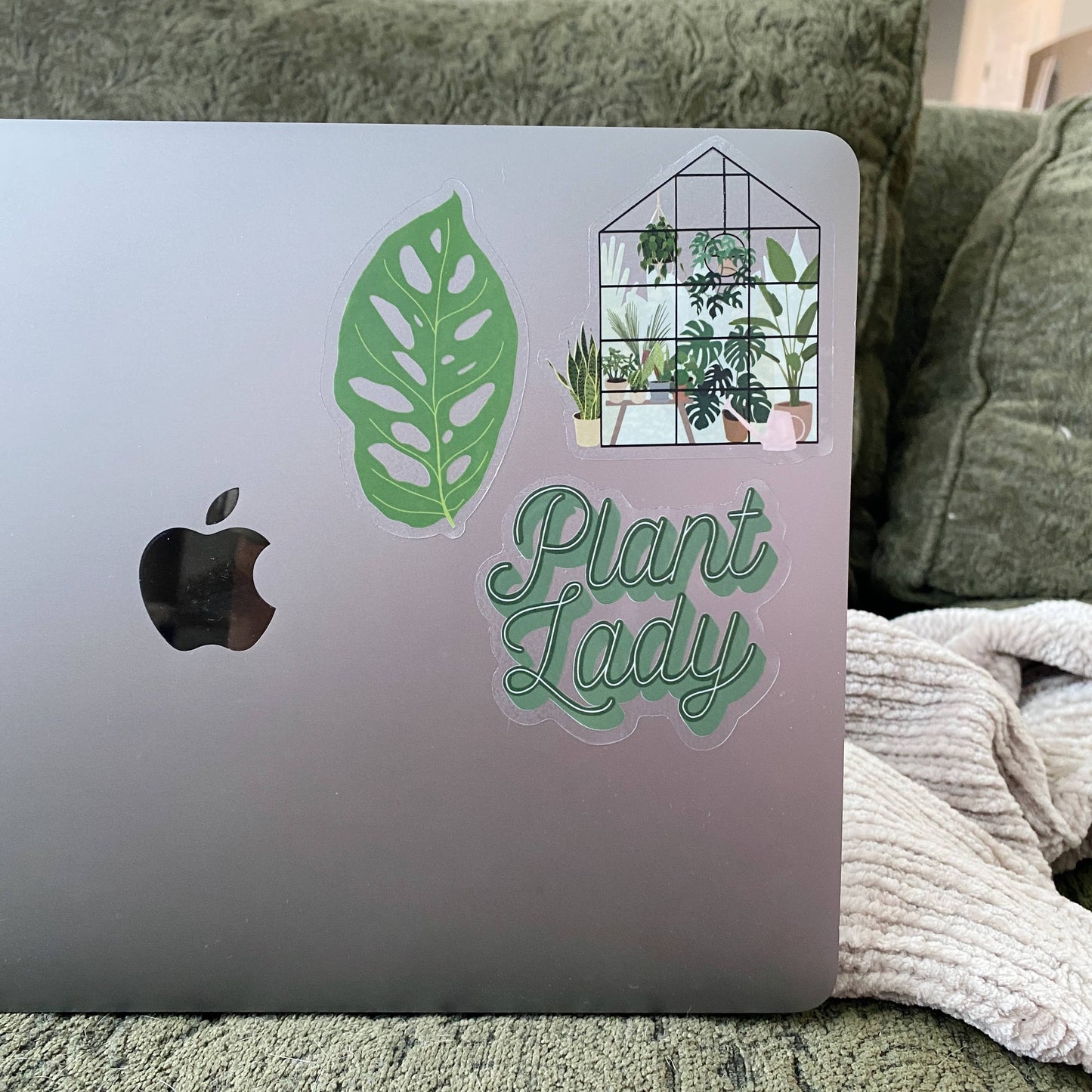 Monstera Adansonii Leaf CLEAR Sticker