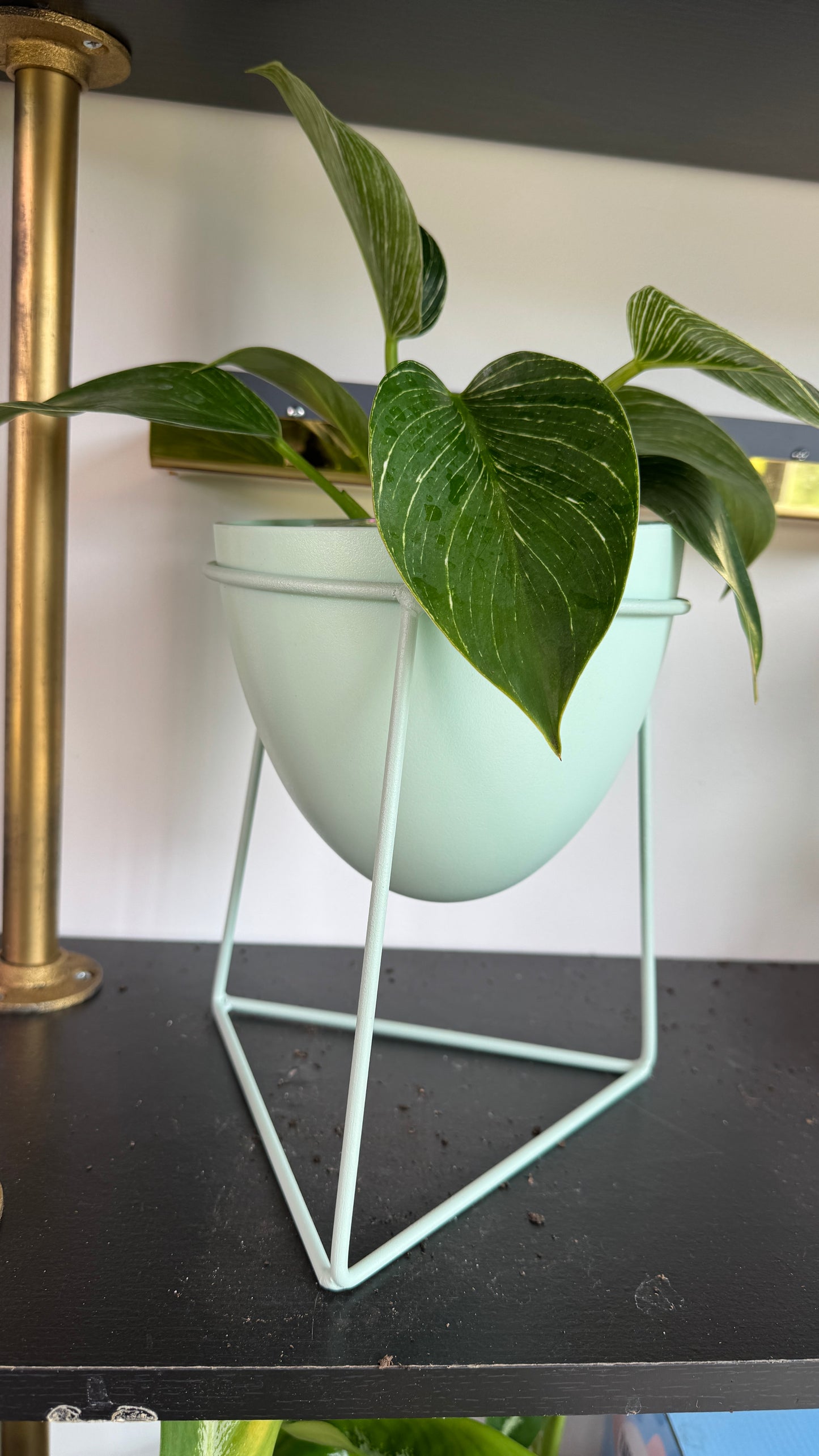 Plant stand