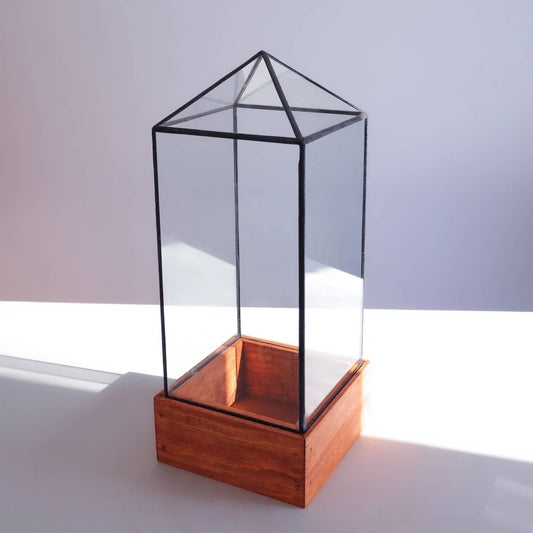 Glass Terrarium