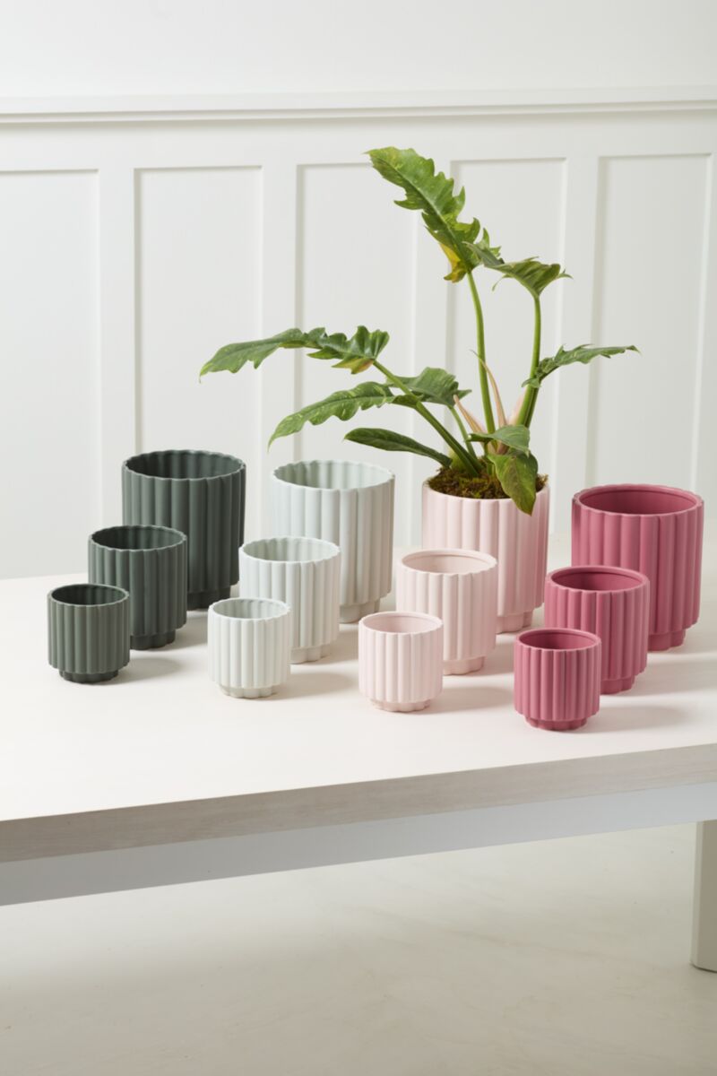 Carmen Pot -Pink